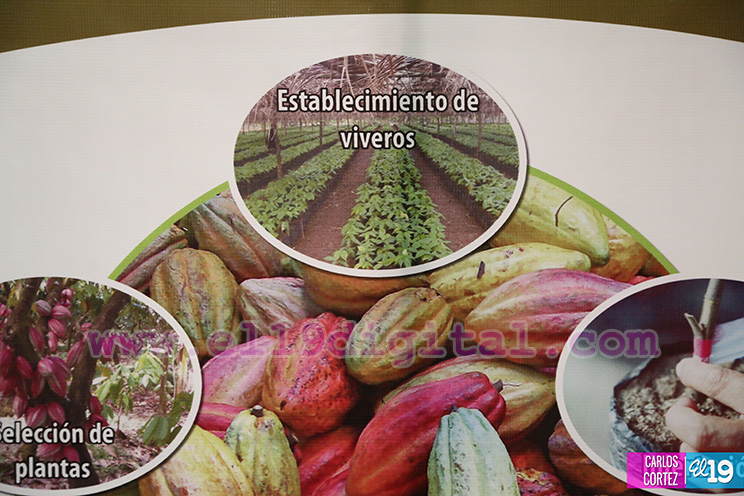 Nicaragua desarrolla Primer Congreso Internacional sobre Producción Sostenible de Cacao Fino